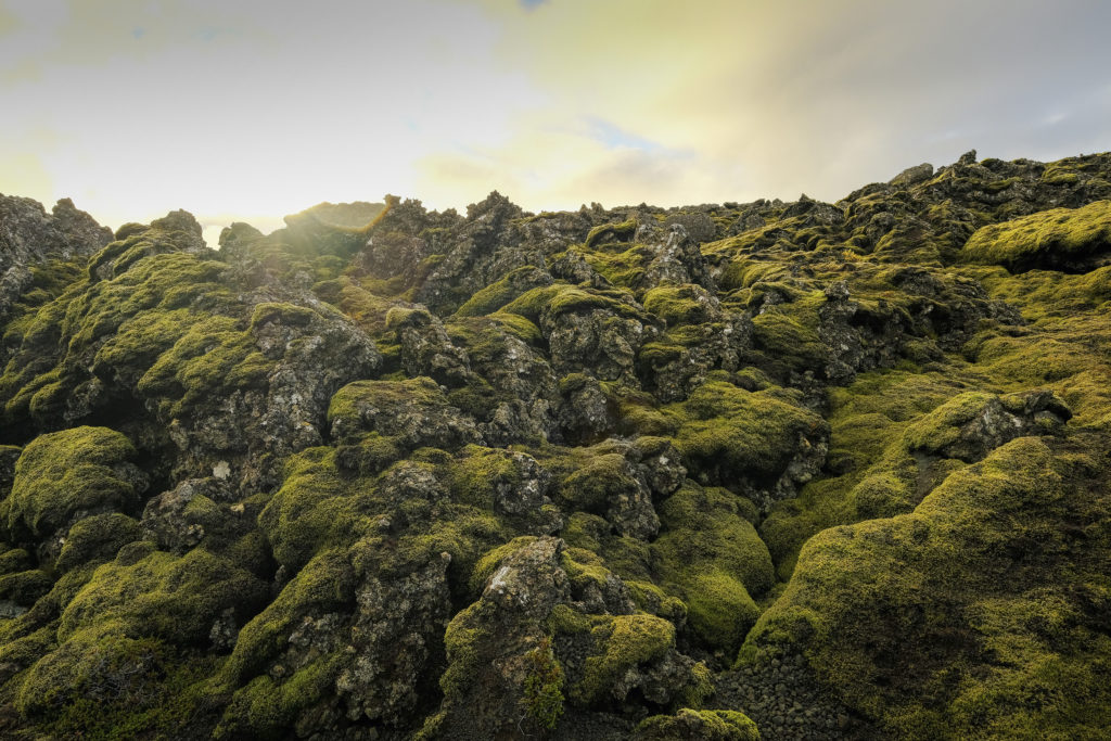 Iceland2@zerbin_005